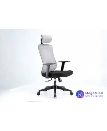 MegaMind Ergonomic Study Chair