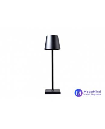 MegaMind Study Lamp