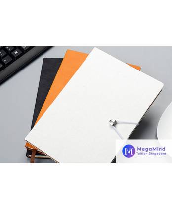 MegaMind Stationery Set